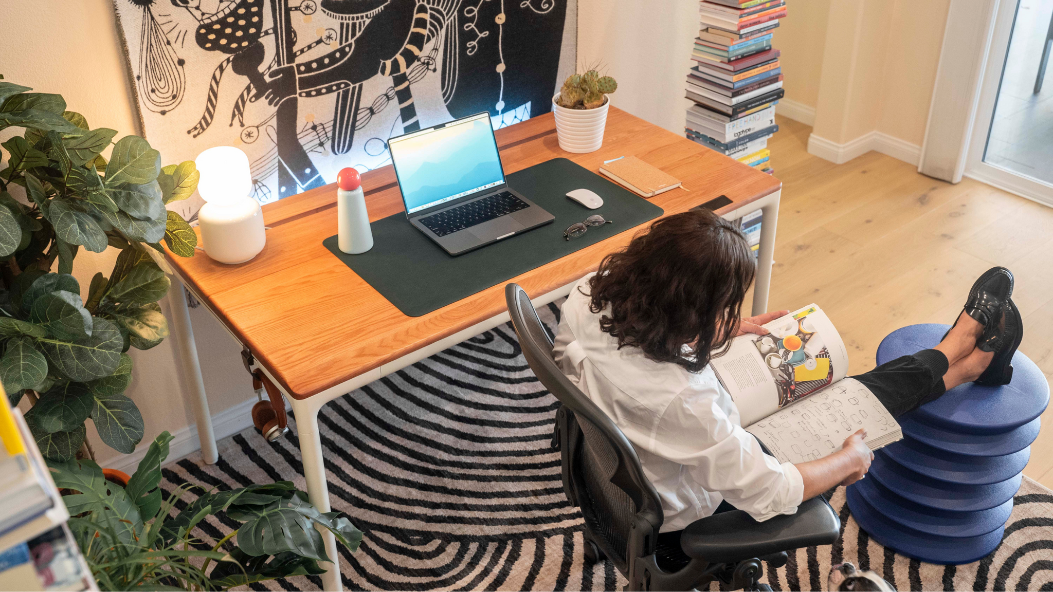 Dream workspace with beflo luxury sit-stand desk
