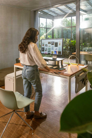 Standing desk stup guide