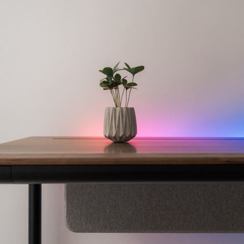 A plant in a vase sits atop a Tenon desk with the attached horizon light diffuser turned on