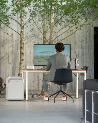 Person sitting at a beflo tenon desk with a computer screen, surrounded by nature