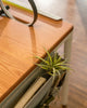 Dale - Hanging Desk Organizer