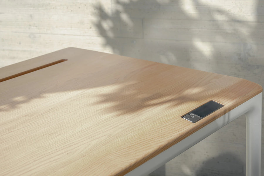 Tenon Smart Adjustable Desk