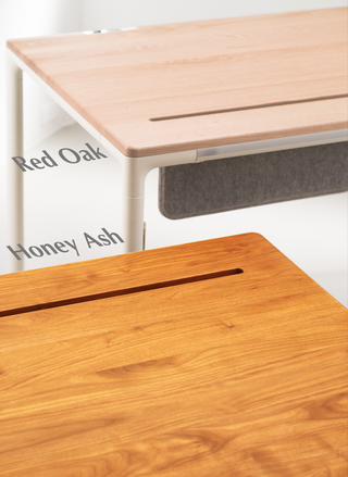 Tenon Smart Adjustable Desk