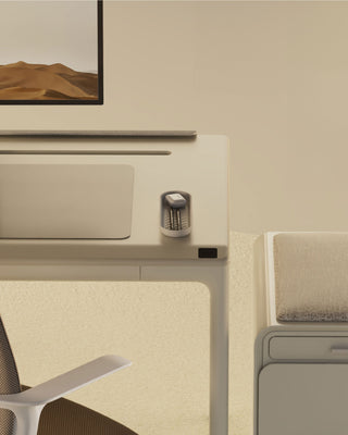 Gobi - Desk Tray