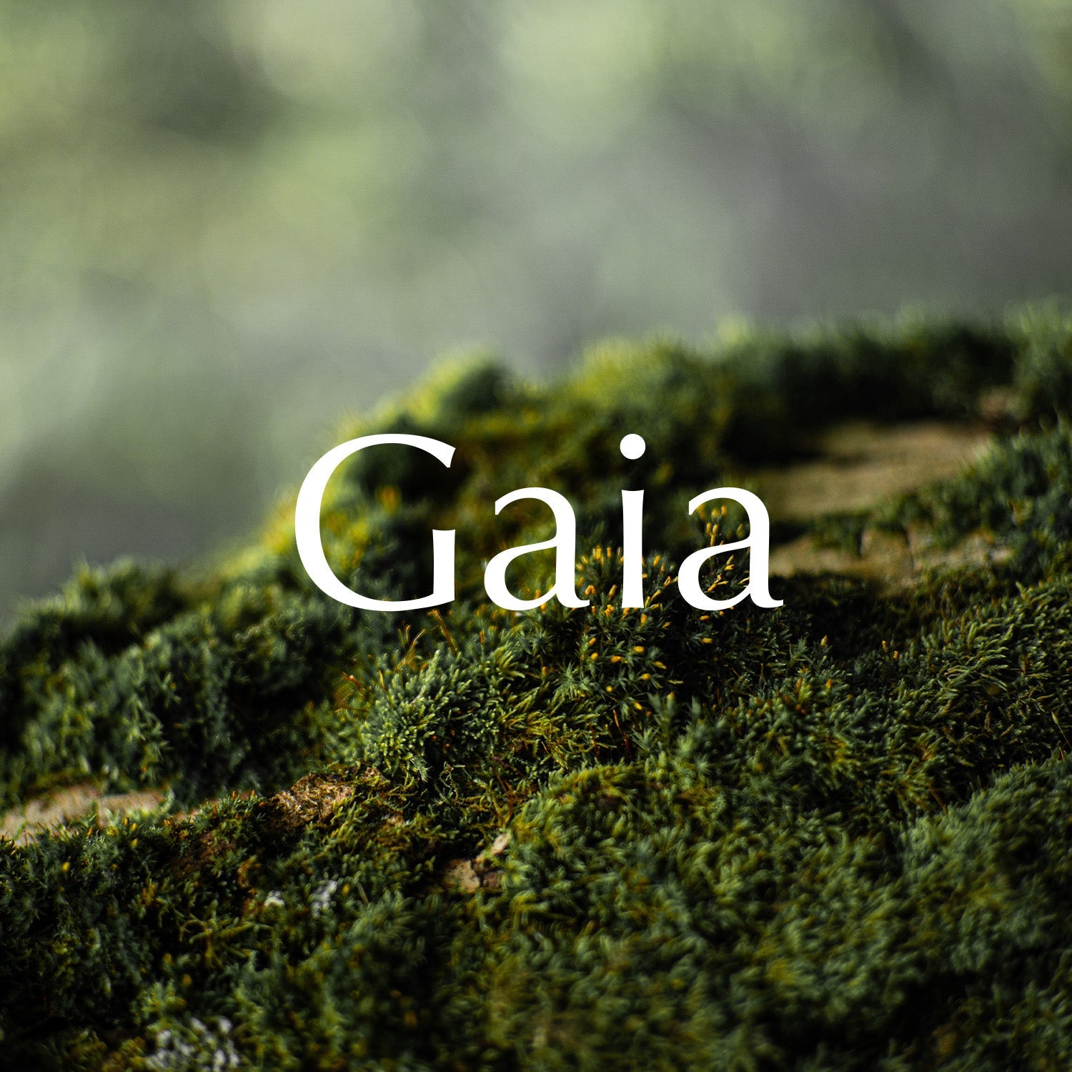 Diffuser Replacement Block for Obsidian Aromatherapy Diffuser | Beflo